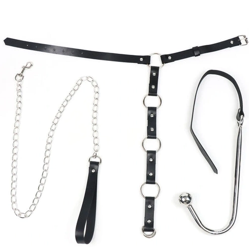 Anal Hooks 5853 Leash Anal Hook and Collar with EverydayUse Kinky 0729
